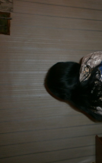 Шлюха вера 10713