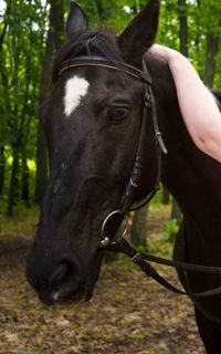 Шлюха Зоя 10767